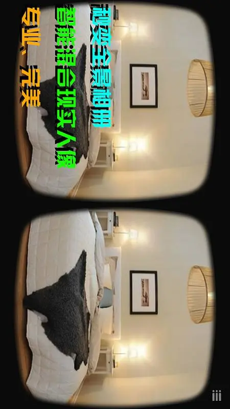 VR Player mw