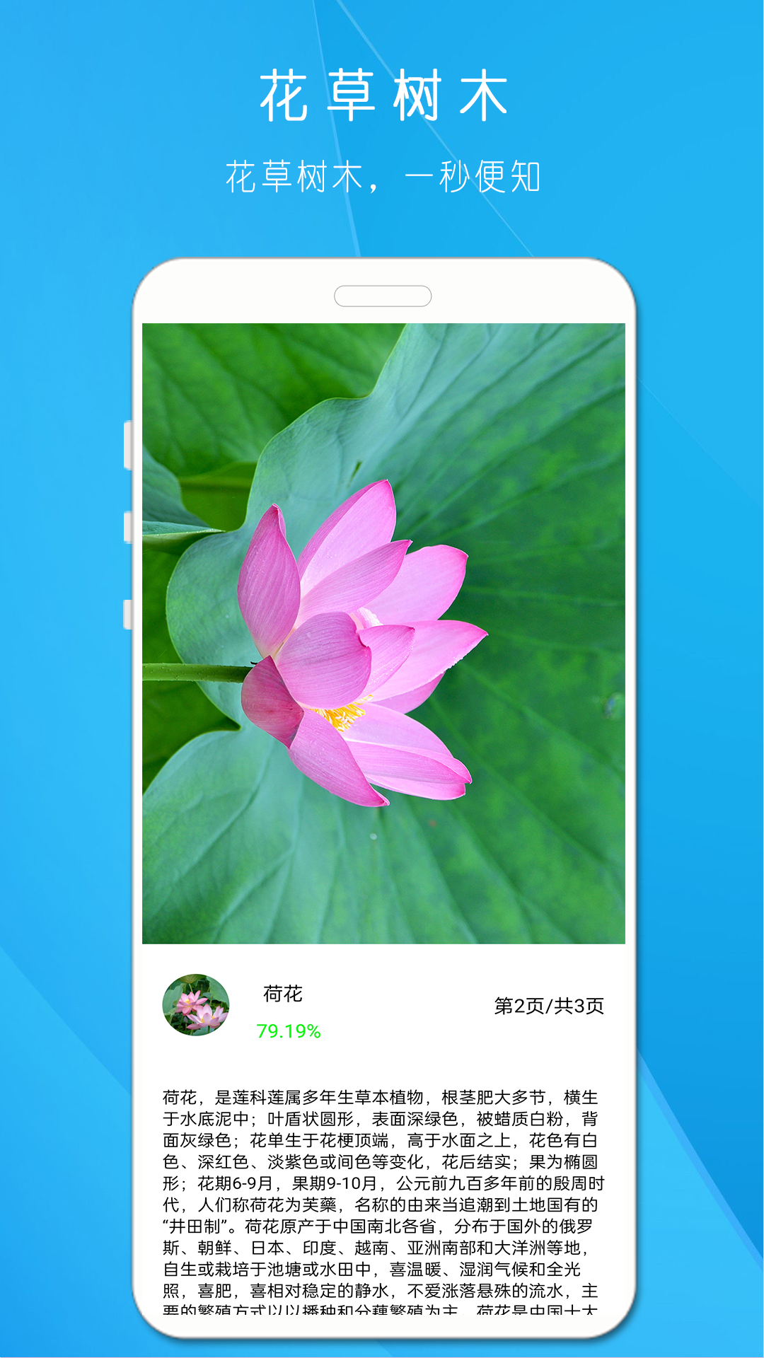 AI拍照识万物