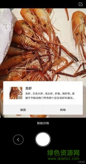 智能识物