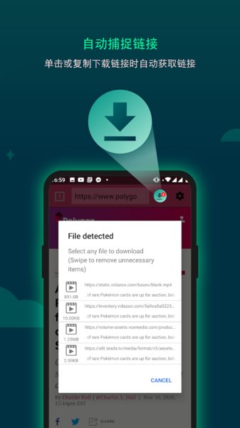 Download Accelerator Plus下载器app
