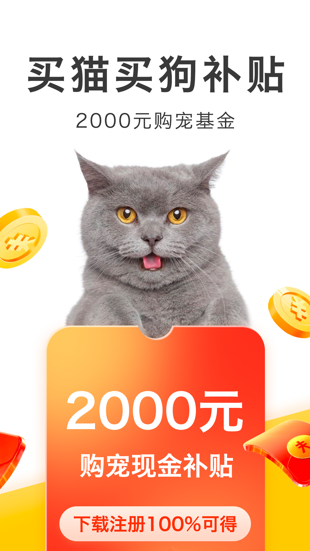 买只宠物 买只宠物