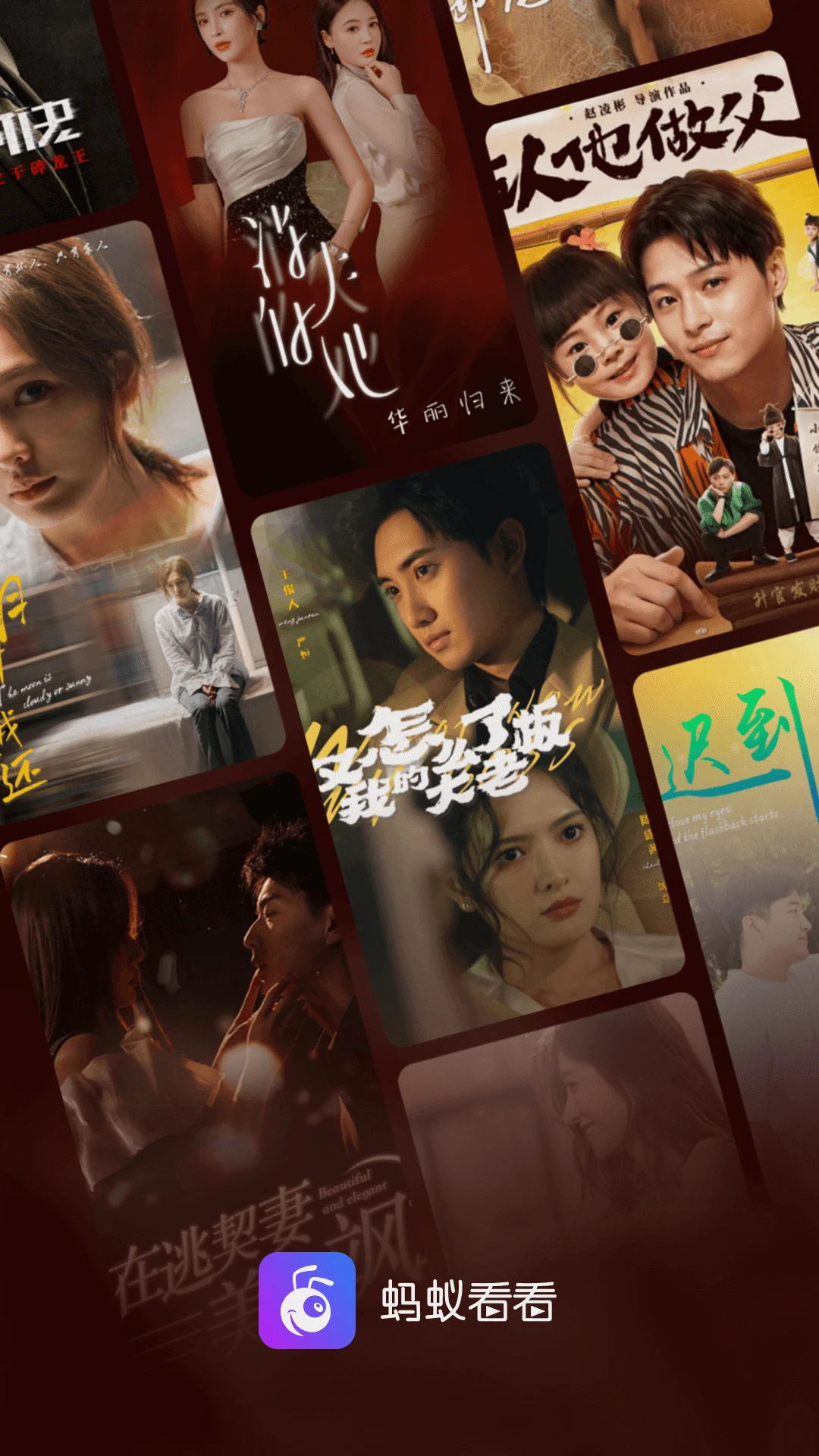蚂蚁看看