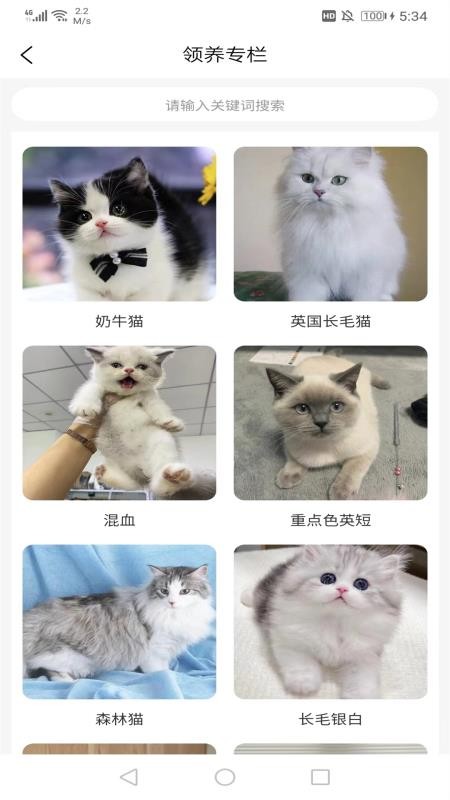 宠哩吖商城