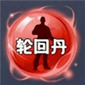 轮回丹