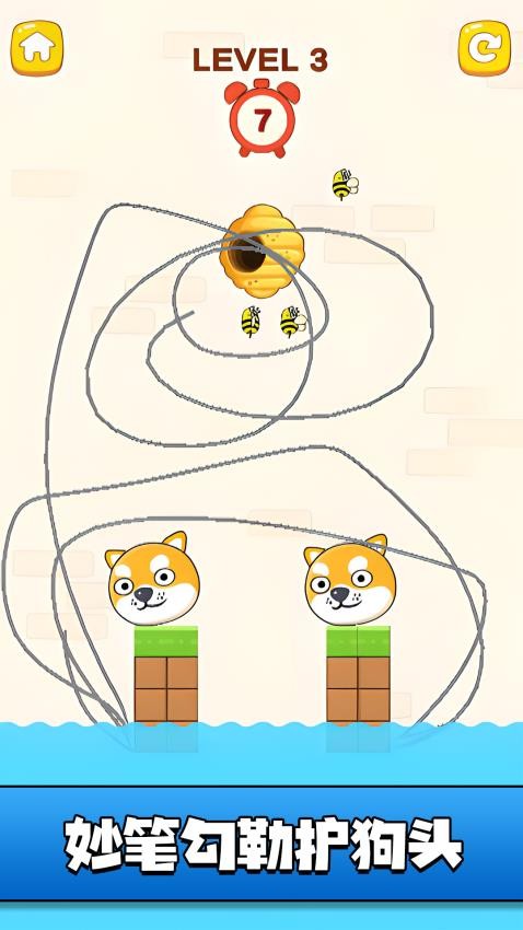 狗蛋哪里逃