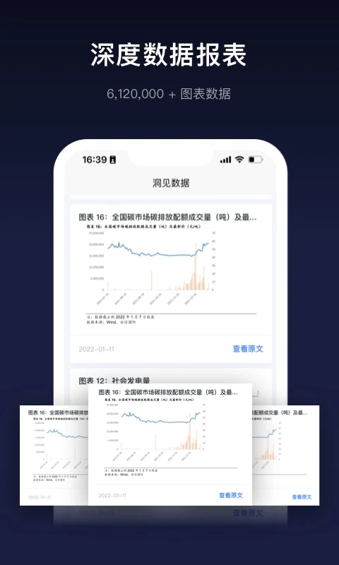 洞见研报