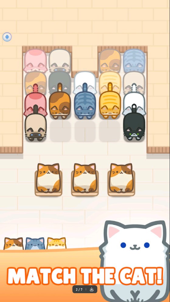 Box Cat Jam安装器