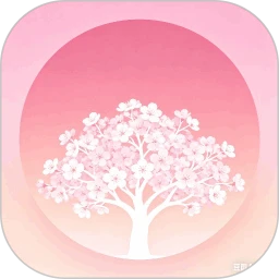 星溯信息盒子