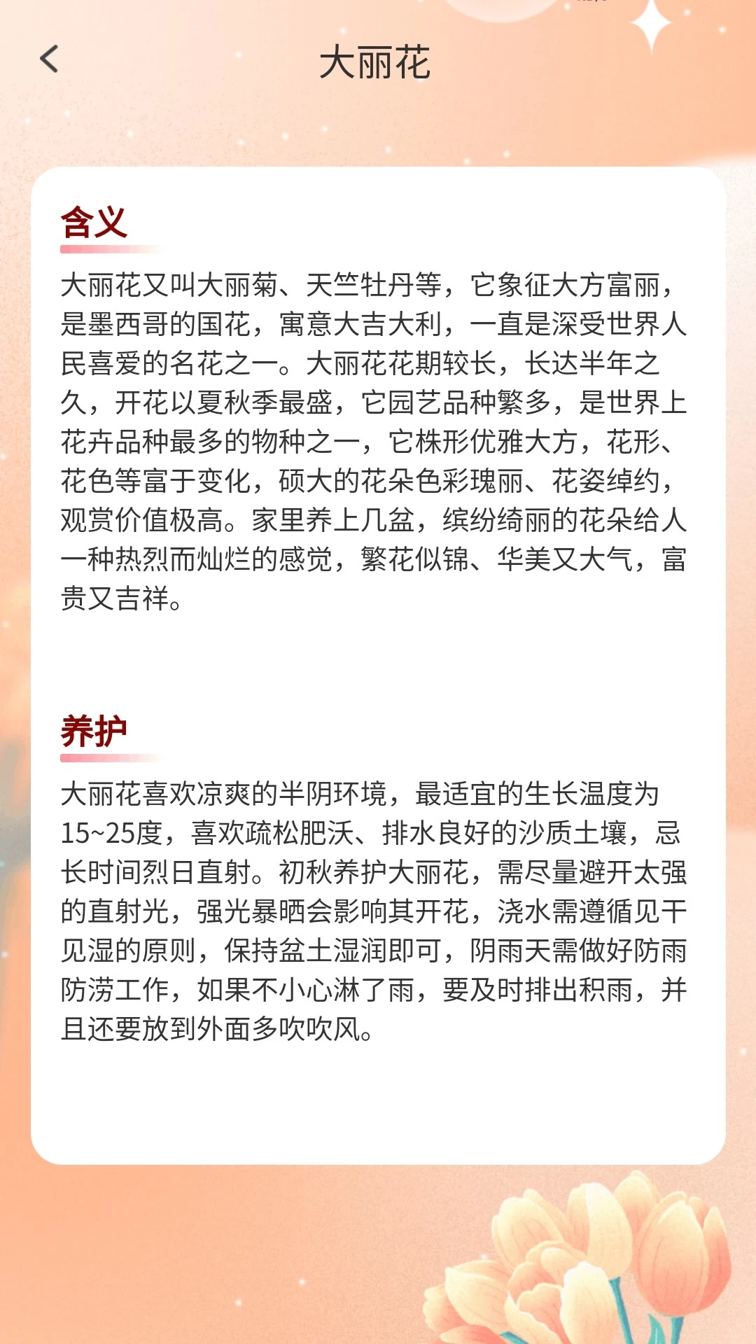 福运能量站