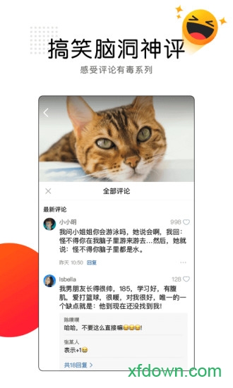 看点