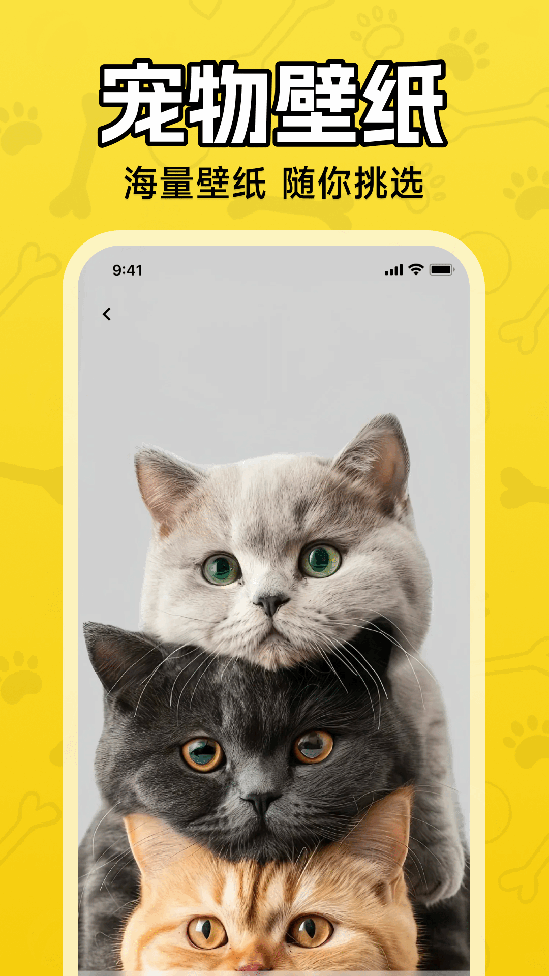 人猫狗翻译器