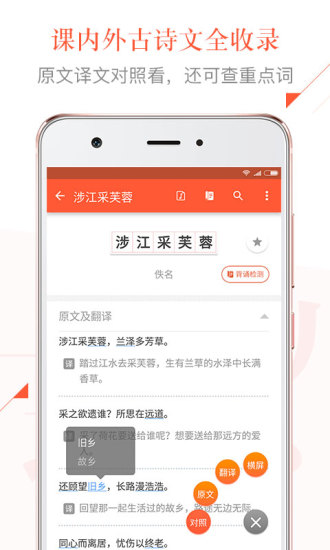 有道语文达人 有道语文达人