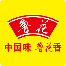 智网