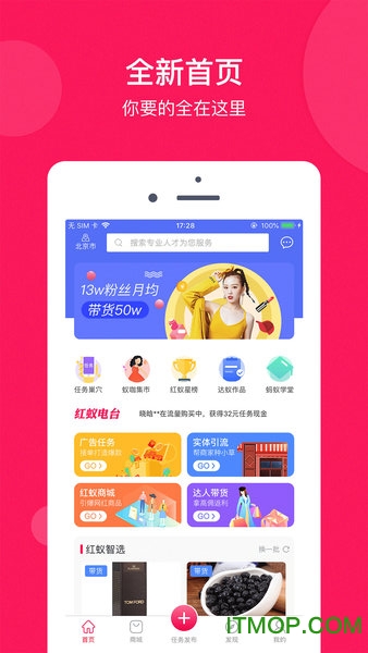 小红蚁