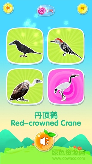 魔法动物园