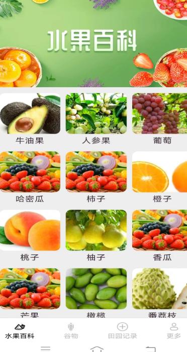 掌上果果多