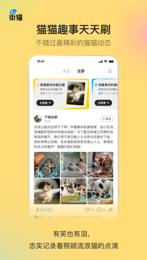 街猫 街猫
