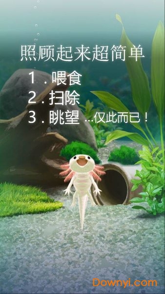 蝾螈育成手游