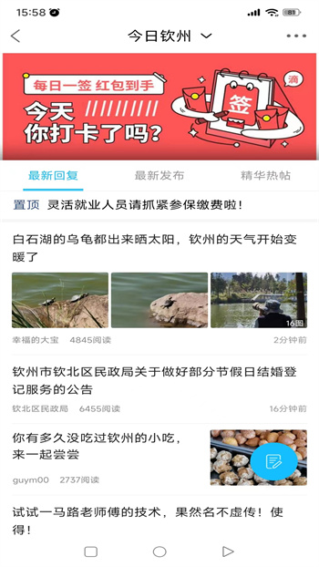 白话猫