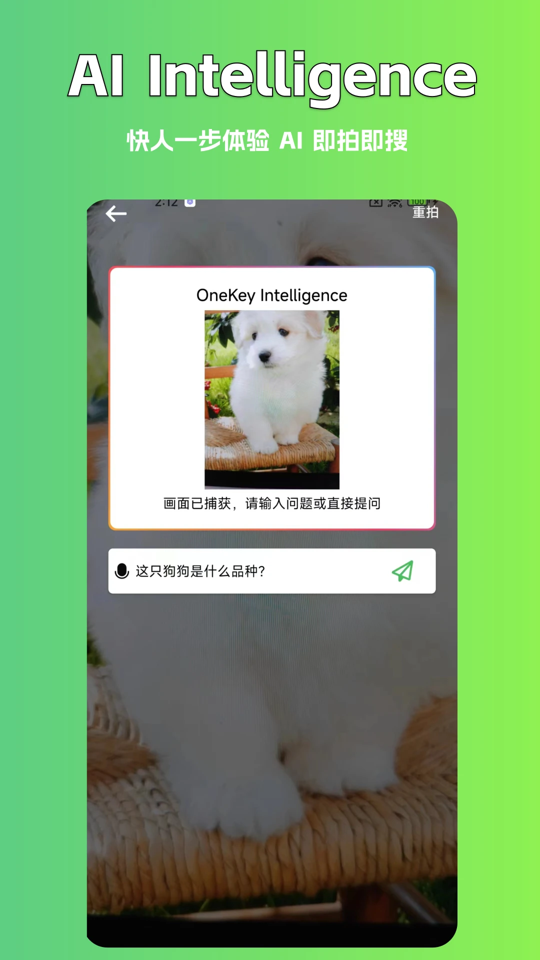 AI写作豆 AI写作豆
