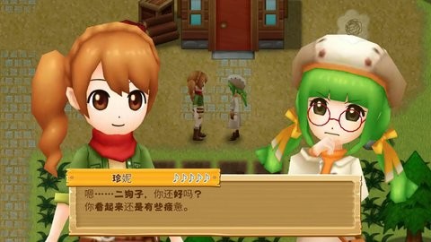 牧场物语:希望之光安装器 牧场物语:希望之光安装器