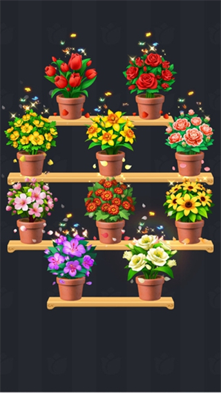Blossom Sort安装器