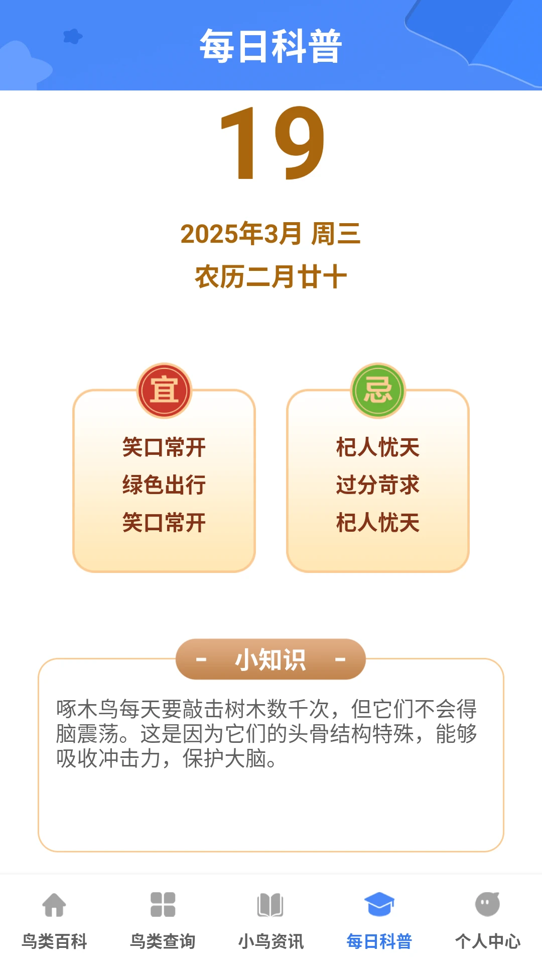 小鸟合不停