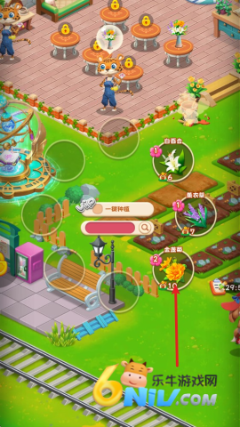 动物花店