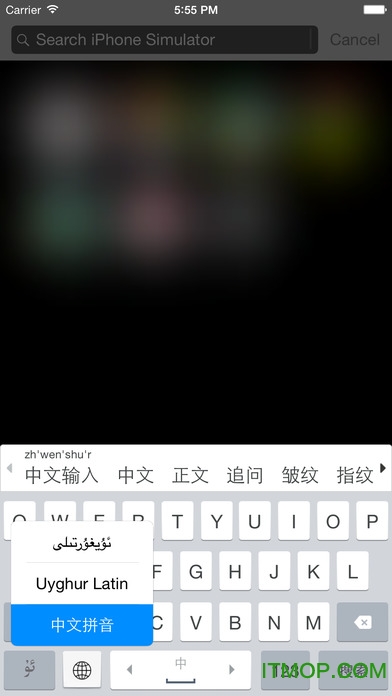 Uyghurche Kirguzguch维语输入法苹果版