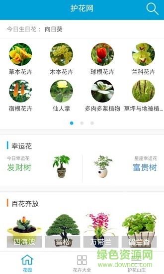 护花网