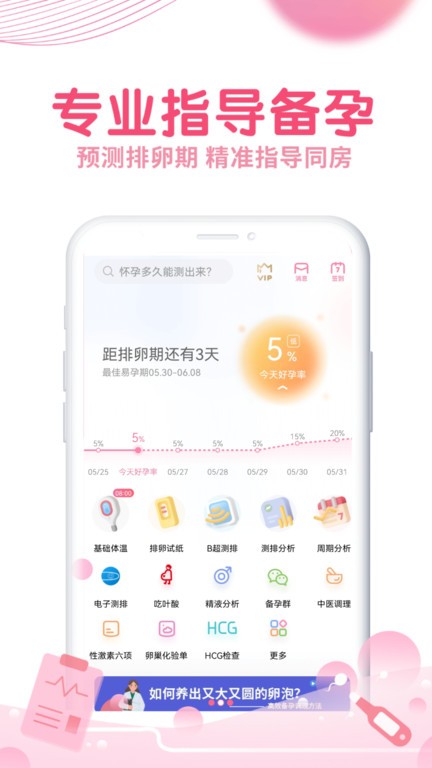 金彩网