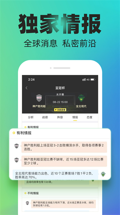 宏兴体育足球
