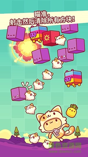 皮皮猫 皮皮猫