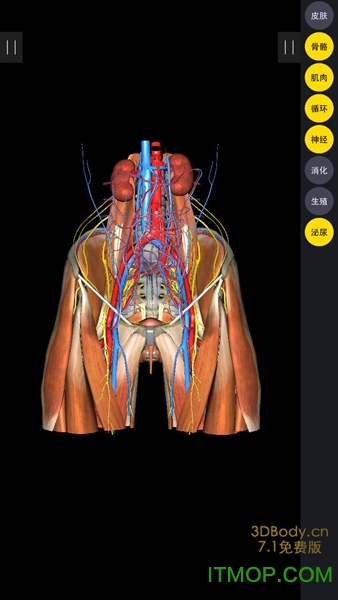 3dbody解剖苹果app
