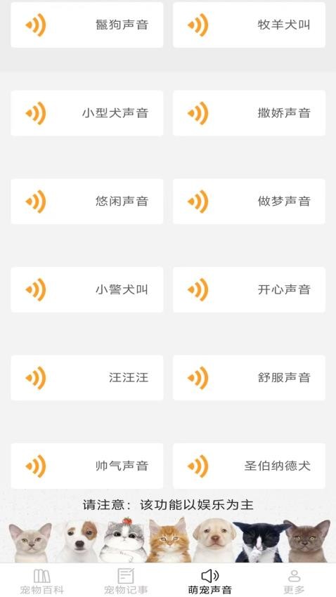 宠趣点点