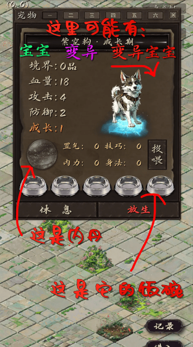 震惊！闯江湖要靠狗？