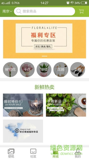 绿茵荟