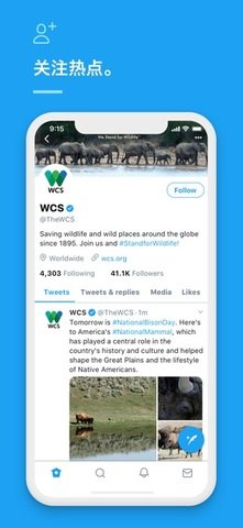 Twitter（推特）官方版