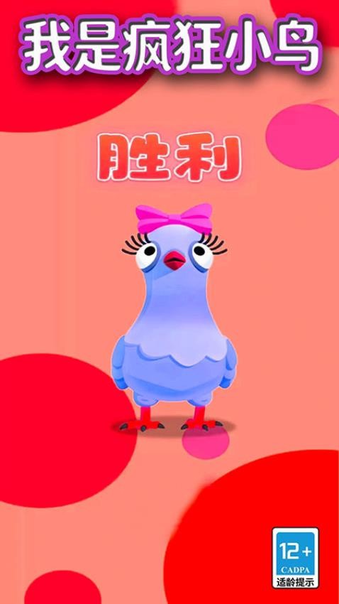 我是疯狂小鸟