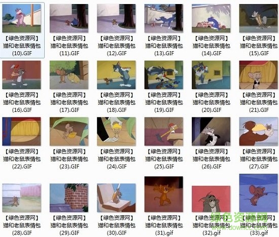 猫和老鼠 猫和老鼠