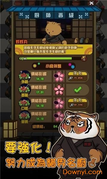 貓咪深夜食堂