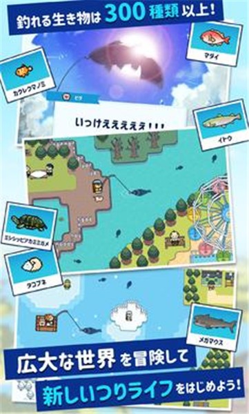钓鱼 钓鱼
