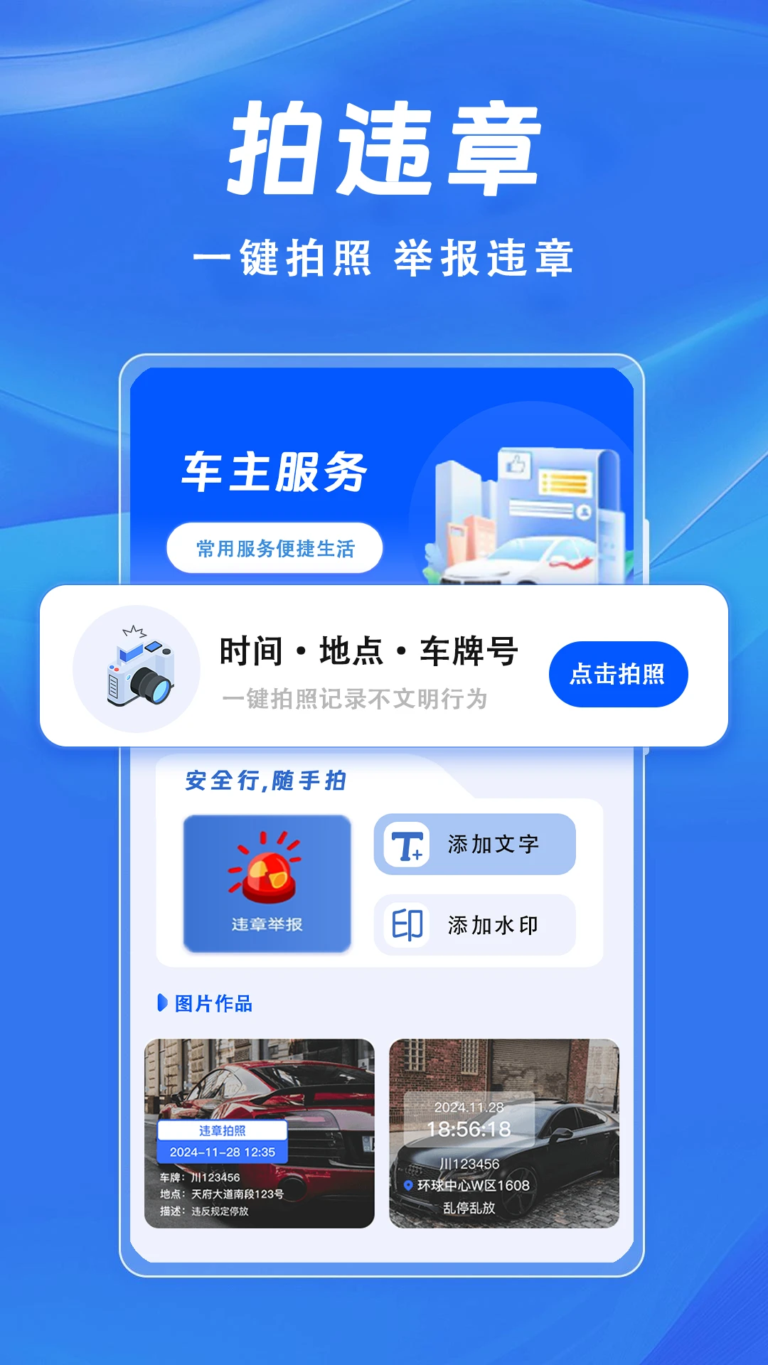 交通违章查询