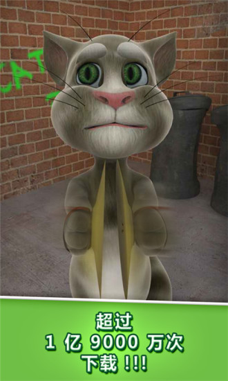 会说话的汤姆猫 会说话的汤姆猫