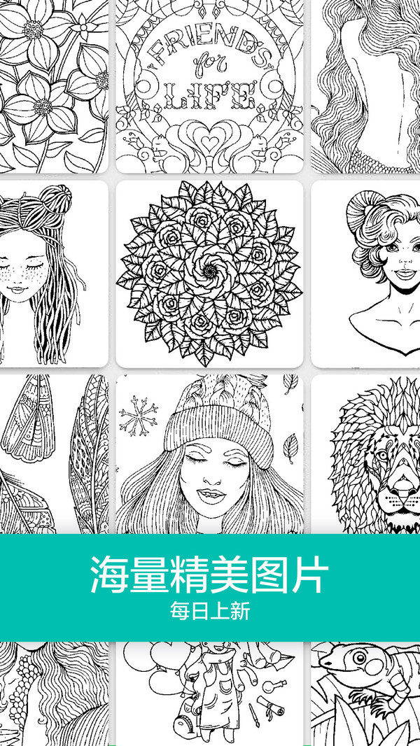 数字填色秘密花园 数字填色秘密花园