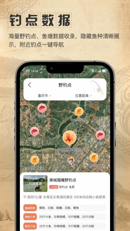 星盘卫星地图