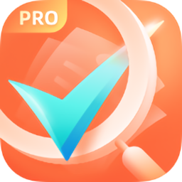 掌上发票PRO
