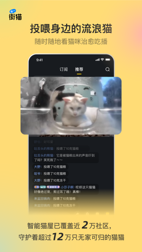 街猫 街猫