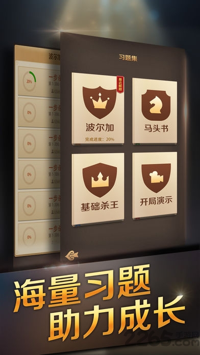 国际象棋 国际象棋