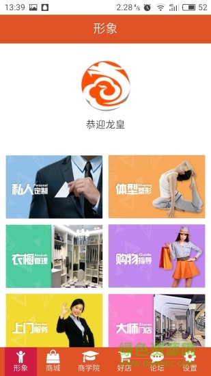 龙形凤象